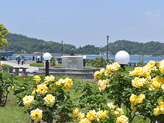 横須賀市ヴェルニー公園の契約社員 施設管理の求人情報イメージ7