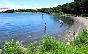 西武造園株式会社 都立大井ふ頭中央海浜公園なぎさの森の契約社員 一般企業のお仕事 広報・渉外部門の求人情報イメージ2