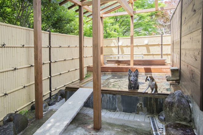 愛犬と楽しむ温泉旅館 　鬼怒川絆の正社員 仲居の求人情報イメージ3