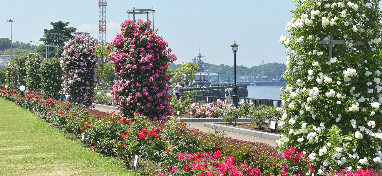 横須賀市ヴェルニー公園の契約社員 施設管理の求人情報イメージ8